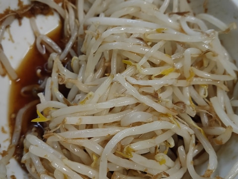 無限もやし!簡単節約ダイエット!